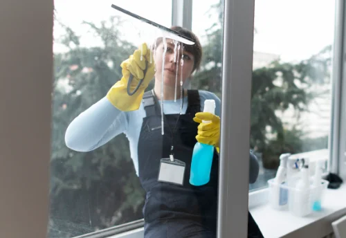 Nettoyage de vitres intérieures et extérieures à Bouin